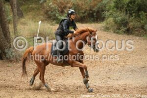 Amateur_3_Cross_2026_10_03_038.jpg