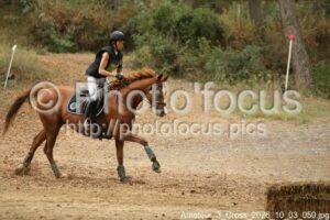 Amateur_3_Cross_2026_10_03_050.jpg
