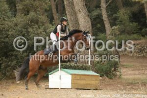 Amateur_3_Cross_2026_10_03_064.jpg