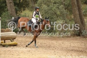 Amateur_3_Cross_2026_10_03_066.jpg