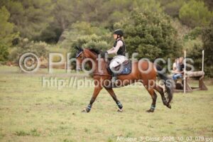 Amateur_3_Cross_2026_10_03_079.jpg