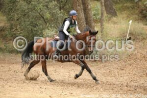 Amateur_3_Cross_2026_10_03_092.jpg