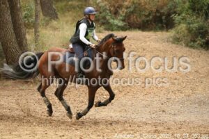 Amateur_3_Cross_2026_10_03_093.jpg