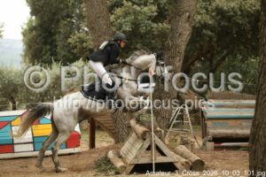 Amateur_3_Cross_2026_10_03_101.jpg