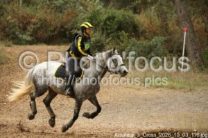 Amateur_3_Cross_2026_10_03_116.jpg