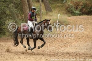 Amateur_3_Cross_2026_10_03_138.jpg