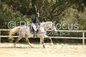 Amateur_4_CSO_2026_10_04_002.jpg