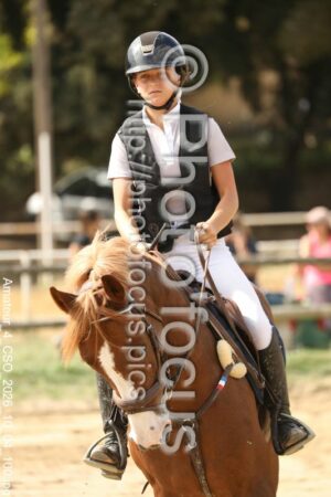 Amateur_4_CSO_2026_10_04_100.jpg