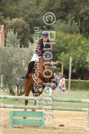 Amateur_4_CSO_2026_10_04_232.jpg