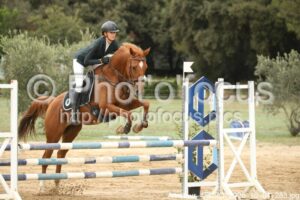 Amateur_4_CSO_2026_10_04_283.jpg