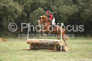 Amateur_4_Cross_2026_10_03_030.jpg