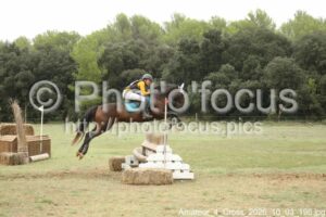 Amateur_4_Cross_2026_10_03_196.jpg