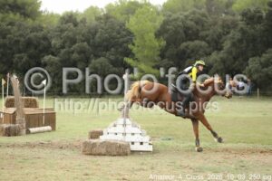 Amateur_4_Cross_2026_10_03_250.jpg