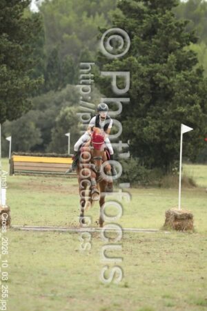 Amateur_4_Cross_2026_10_03_255.jpg