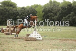 Amateur_4_Cross_2026_10_03_263.jpg
