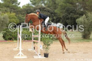 Pro_4_CSO_2026_10_04_014.jpg